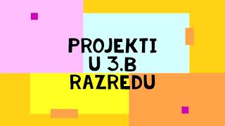 PROJEKTI U 3.B RAZREDU