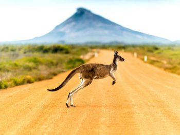 Upoznajmo Australiju!